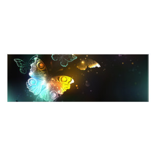 Luminous Butterfly and Night butterflies Photo Print