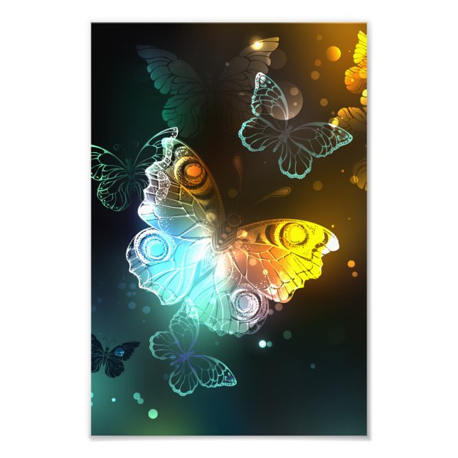 Luminous Butterfly and Night butterflies Photo Print (Front)