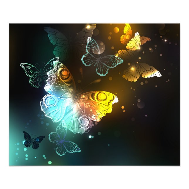 Luminous Butterfly and Night butterflies Photo Print (Front)