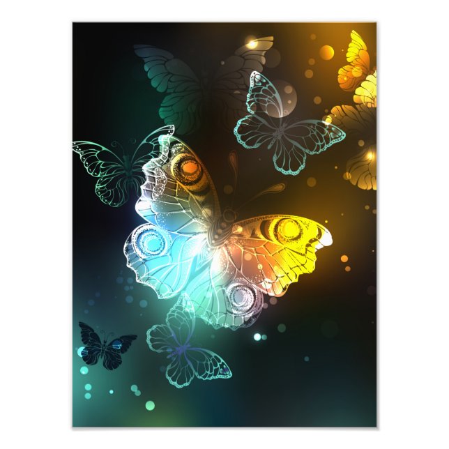 Luminous Butterfly and Night butterflies Photo Print (Front)