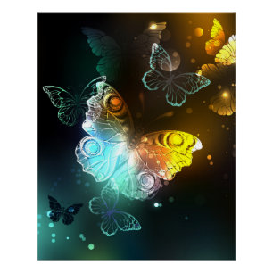 Luminous Butterfly and Night butterflies Poster