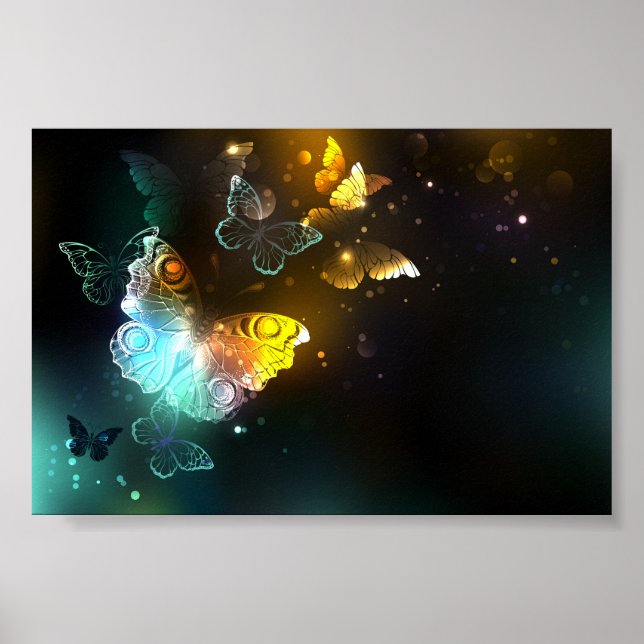 Luminous Butterfly and Night butterflies Poster (Front)