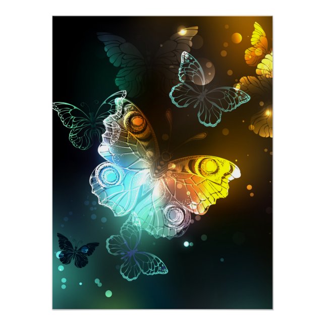 Luminous Butterfly and Night butterflies Poster (Front)