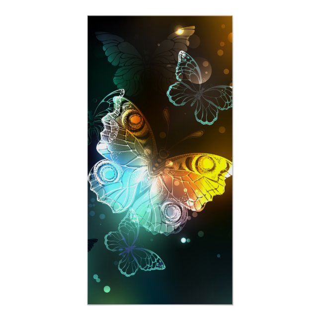 Luminous Butterfly and Night butterflies Poster (Front)