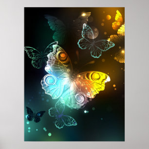 Luminous Butterfly and Night butterflies Poster