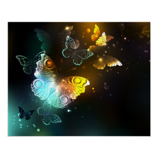 Luminous Butterfly and Night butterflies Poster (Front)
