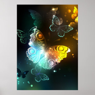 Luminous Butterfly and Night butterflies Poster