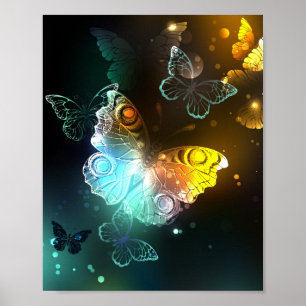 Luminous Butterfly and Night butterflies Poster