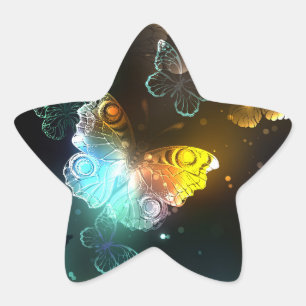 Luminous Butterfly and Night butterflies Star Sticker