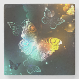 Luminous Butterfly and Night butterflies Stone Coaster