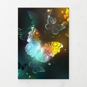 Luminous Butterfly and Night butterflies Tri-Fold Announcement
