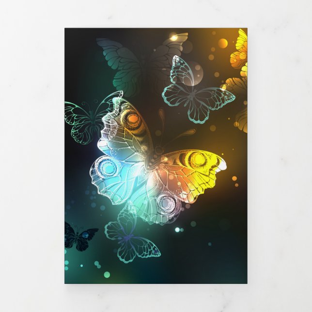 Luminous Butterfly and Night butterflies Tri-Fold Programme (Cover)