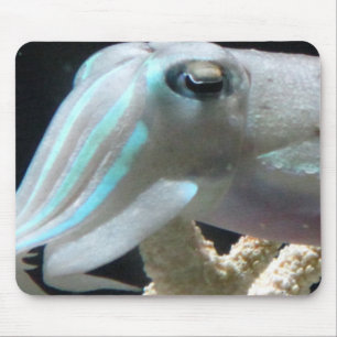 Luminous Cuttlefish Mouse Mat