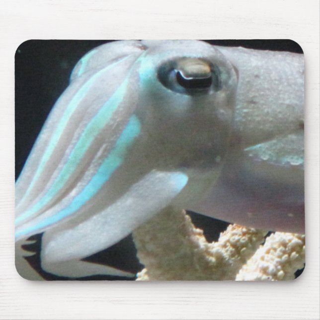Luminous Cuttlefish Mouse Mat (Front)