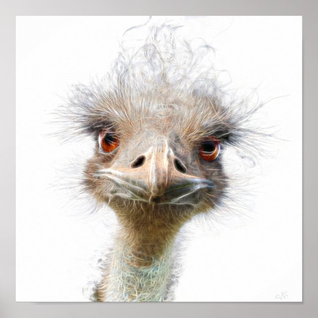 Luminous Emu art chicken art Poster (Front)