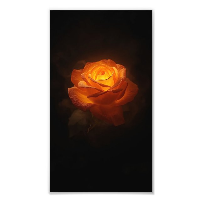 Luminous Orange Rose on Black Velvet – Elegant Flo Photo Print (Front)