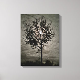 Luminous Silence: A Full Moon Night Canvas Print