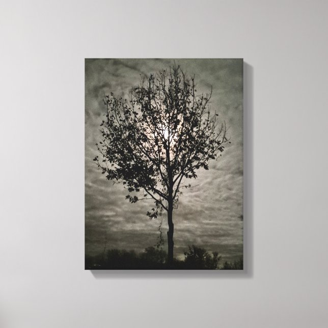 Luminous Silence: A Full Moon Night Canvas Print (Front)