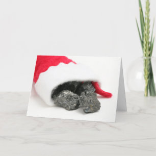 Lumps of coal spilling out of a Christmas Holiday Card