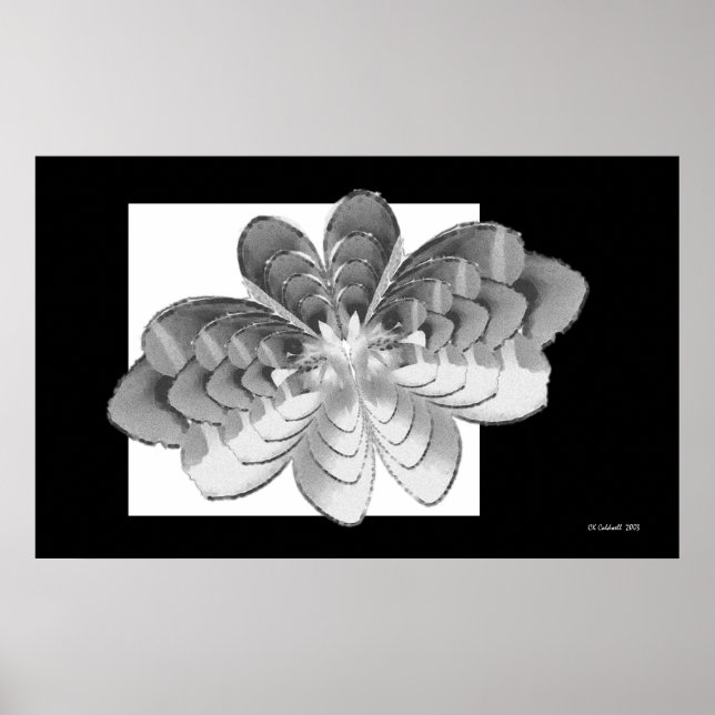 Luna Butterfly Poster (Front)