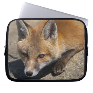 Luna Fox Laptop Sleeve