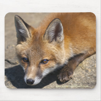 Luna Fox Mousemat