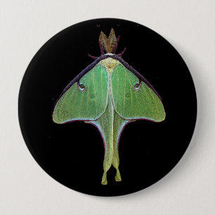 Luna Moth 10 Cm Round Badge