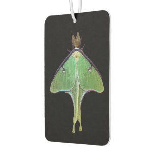 Luna Moth Air Freshener