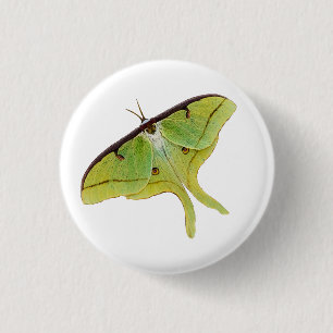 Luna Moth Artwork in Vibrant Color 3 Cm Round Badge