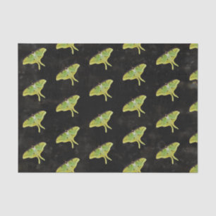 Luna Moth Artwork in Vibrant Colour Tissue Paper