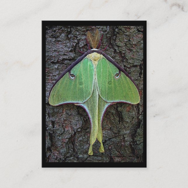 Luna Moth ATC Business Card (Front)