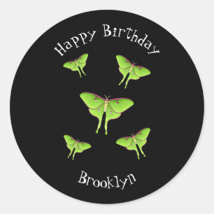 Luna Moth cartoon illustration   Classic Round Sticker