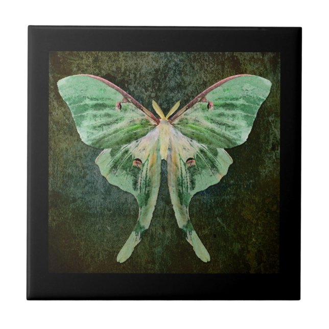 Luna Moth Ceramic Art Tile (Front)