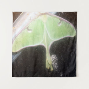 Luna Moth Close-Up Tapestry