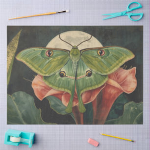 Luna Moth ConservatoryvBotanicals Tissue Paper