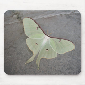 Luna moth grey background-mousepad mouse mat
