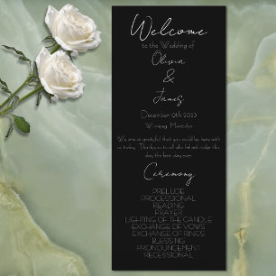 Luna Moth Moon Phases  Programme