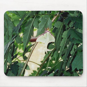 Luna Moth Mouse Mat