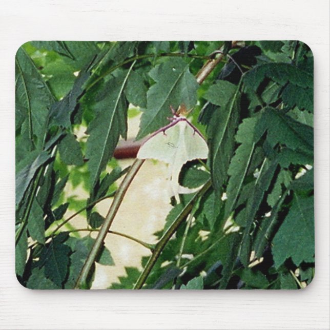 Luna Moth Mouse Mat (Front)