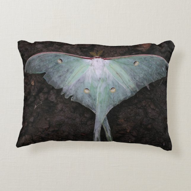 luna moth nature butterfly fairy fantasy dream decorative cushion (Back)