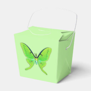 Luna moth on a pale green background favour box