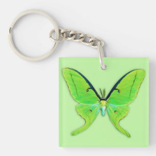 Luna moth on a pale green background key ring