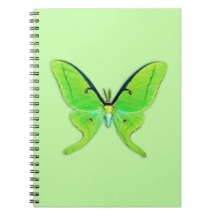 Luna moth on a pale green background notebook