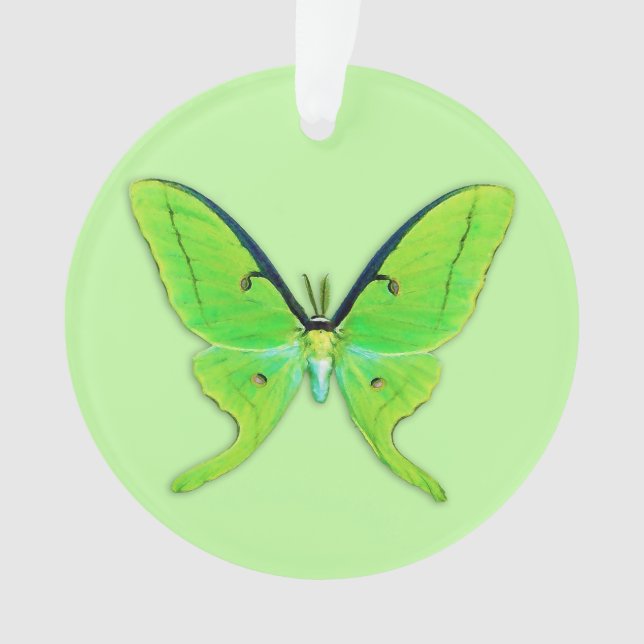Luna moth on a pale green background ornament (Front)