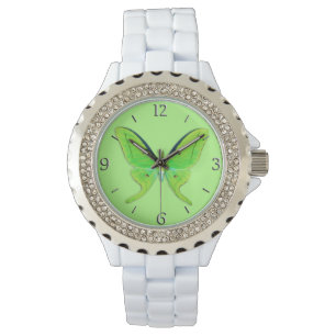 Luna moth on a pale green background watch