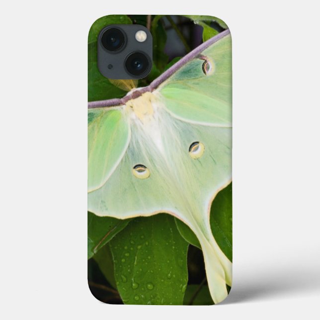 Luna Moth on Carnaby Clematis Case-Mate iPhone Case (Back)