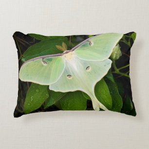 Luna Moth on Carnaby Clematis Decorative Cushion