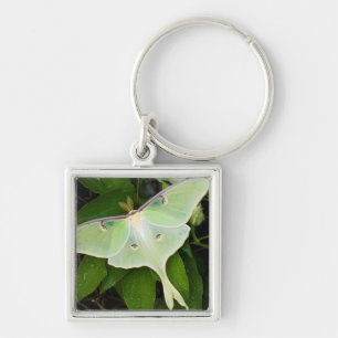 Luna Moth on Carnaby Clematis Key Ring