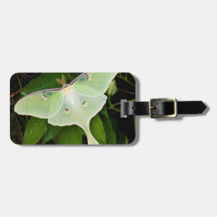 Luna Moth on Carnaby Clematis Luggage Tag