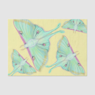Luna Moth on yellow Tissue Paper